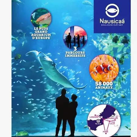 La D Hardelot A 3mn A Pied *